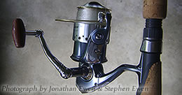spinning reel
